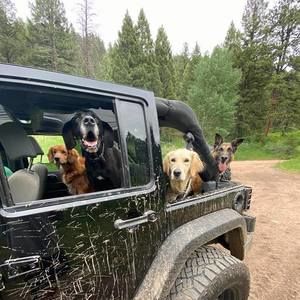 Meet your Posher, Paul